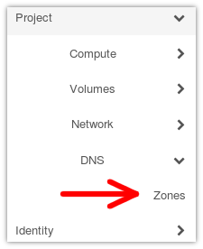 Accessing DNS zones menu item